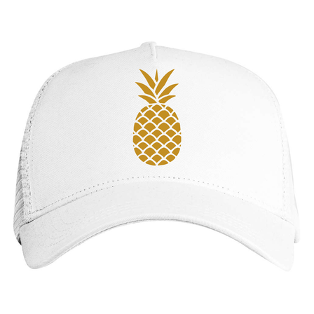 Hawaii Hat Test 3