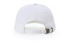 Richardson 254RE - Ashland 100% Recycled Polyester Dad Hat - (Bulk Custom with Your Logo)